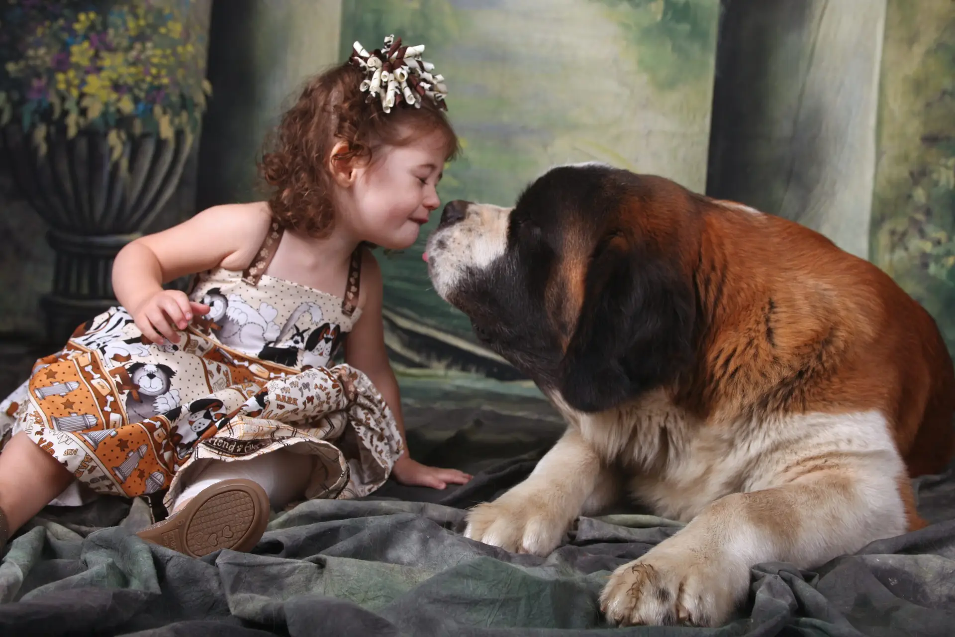 Child and Her Saint Bernard Puppy Dog