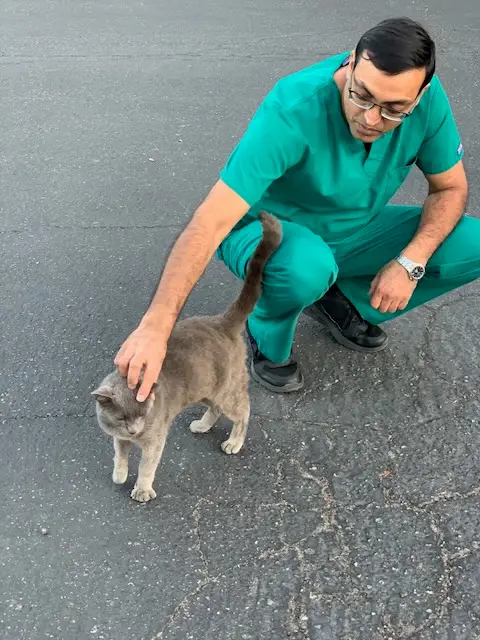 Dr Harika petting a cat