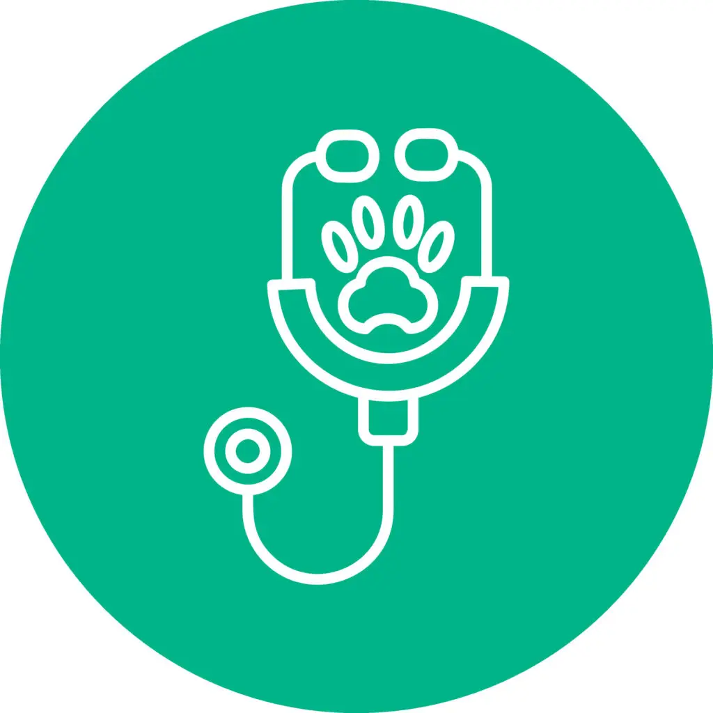 stethoscope green icon