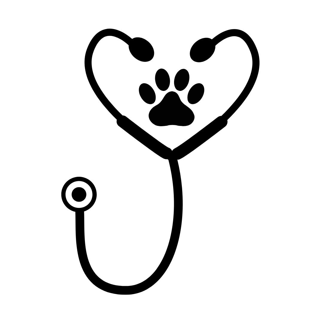 icon stethoscope
