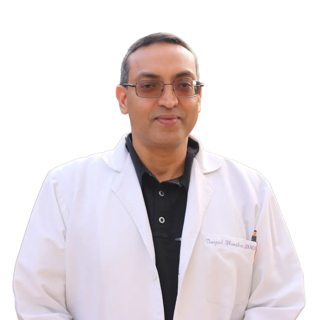 Dr jaspal Harika, DVM