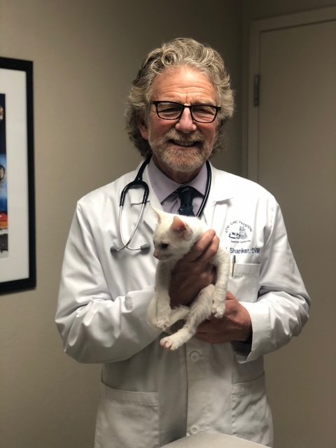 Dr. Philip Shanker, feline medicine specialist at Morgan Hill Animal Hospital
